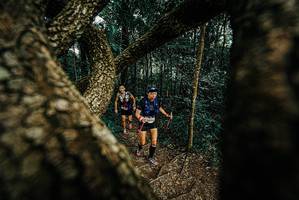 BIB: 
                            <button type="button" onclick="openModal(25667380)" class="btn btn-primary btn-sm float-right btn-popup" data-toggle="modal" data-target=".modal-high-quality">
                        <i class="fas fa-shopping-cart"></i> Add to Cart
                    </button>
                                            <button type="button" onclick="isThisMe(25667380, true)" class="btn btn-success btn-sm float-right btn-popup btn-isme hidden" data-toggle="tooltip" data-placement="bottom" title="นี่คือรูปของคุณใช่ไหม คลิกที่นี่เพื่อเอาเข้าอัลบั้ม">
                        <i class="fas fa-plus"></i> Add to album
                    </button>
                    <button type="button" onclick="isThisMe(25667380, false)" class="btn btn-warning btn-sm float-right btn-popup btn-isnotme hidden">
                        <i class="fas fa-ban"></i> Remove from album
                    </button>